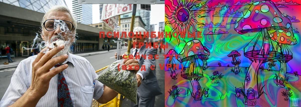 spice Дмитров