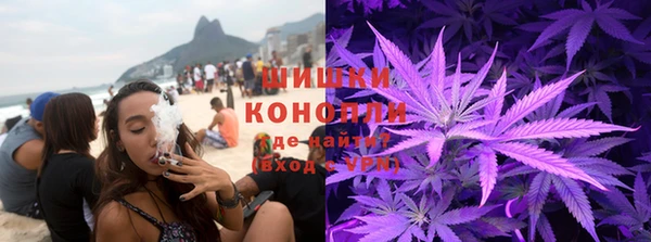 кокс Дмитриев