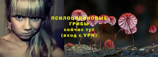spice Дмитров