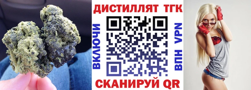 mega   Пятигорск  ТГК концентрат 